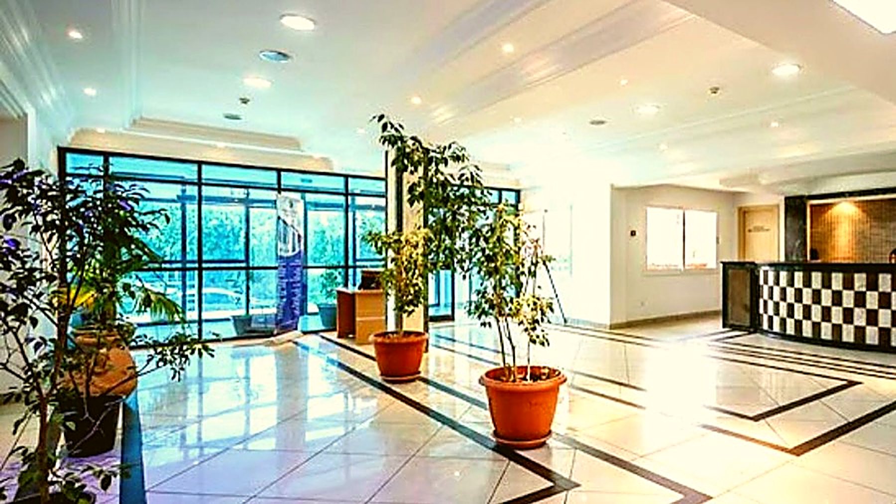 Hall d'accueil clair de la clinique, plantes et comptoir.